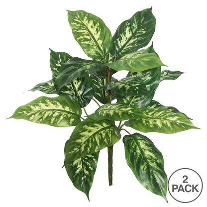 Vickerman 22" Artificial Green Dieffenbachia Plant Pack of 2