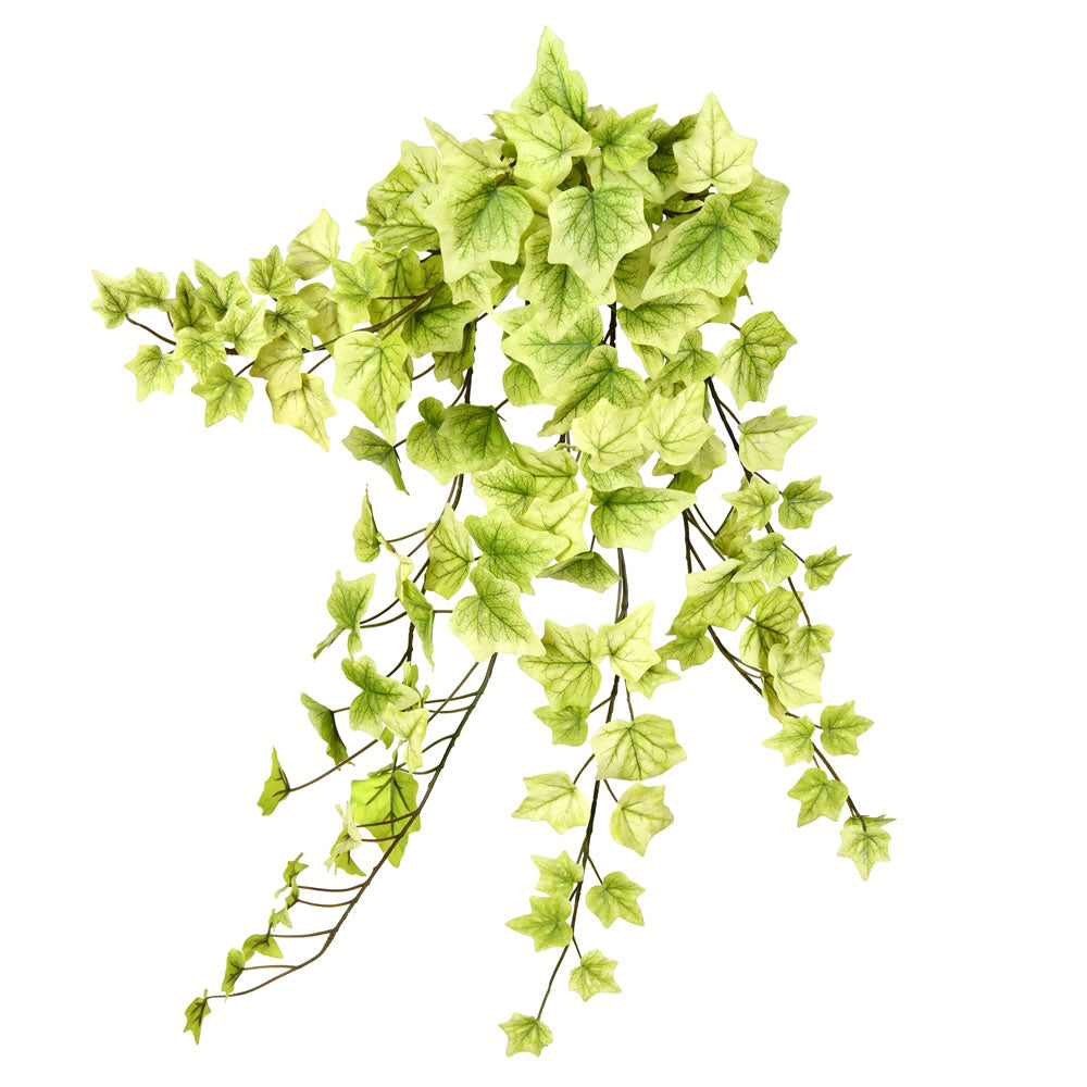 Vickerman 28" Artificial Light Green Ivy Hanging Bush Pack of 2