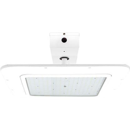 Westgate X-Gen  Under-Canopy Light Adj. 80W-150W 50K 120-277V 0-10V, Outdoor Lighting, 80W/100W/120W/150W, 140 Lumens/W, 5000K, Bronze 0~10V Dimmable