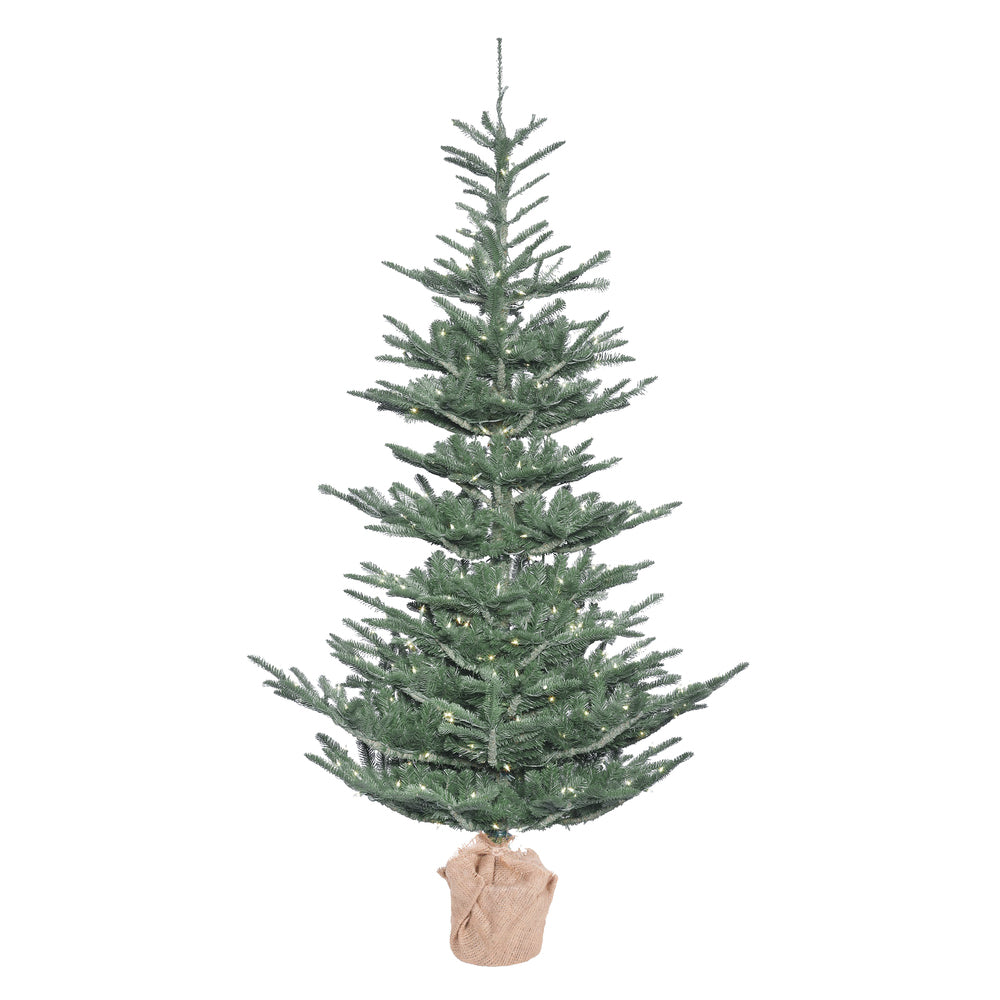 Vickerman 4' Alberta Blue Spruce Artificial Christmas Tree Warm White Dura-lit LED Lights