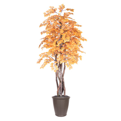 Vickerman 6' Artificial Golden Aspen Executive Tree Brown Round Plastic Container.