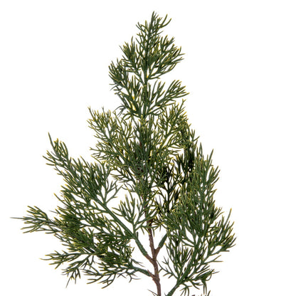Vickerman 66" Artificial Green Cypress Full Garland.