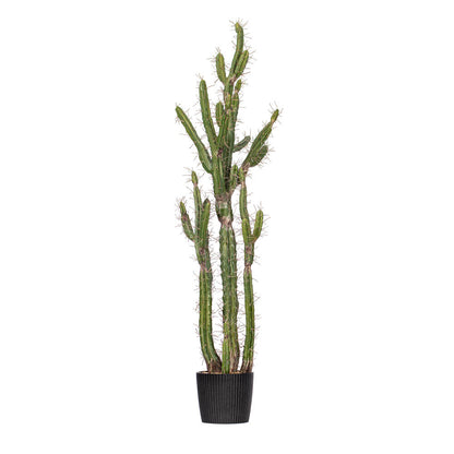 Vickerman 56.5" Artificial Green Cactus Black Plastic Planters Pot.