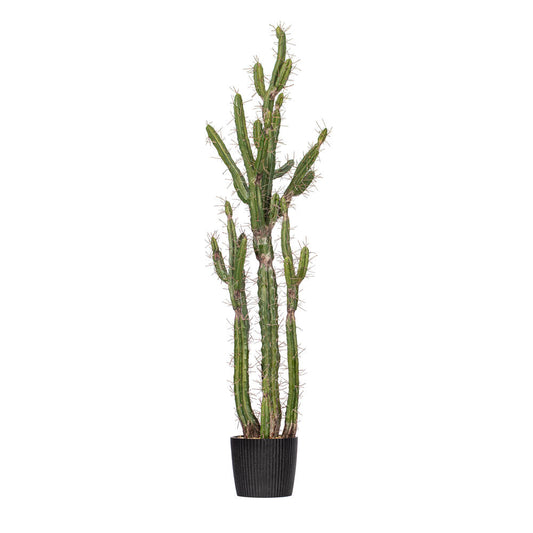 Vickerman 56.5" Artificial Green Cactus Black Plastic Planters Pot.