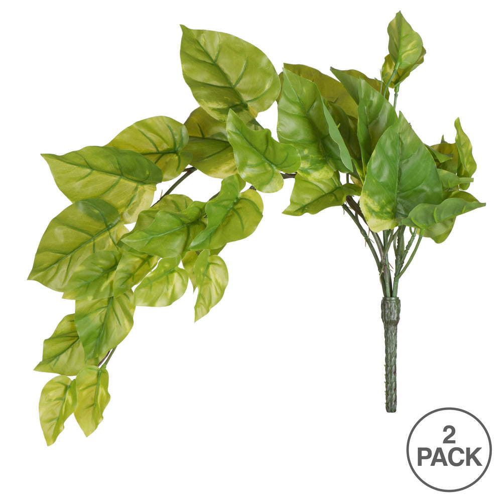Vickerman 24" Artificial Green Pothos Leaf Bush Vine Pack of 2