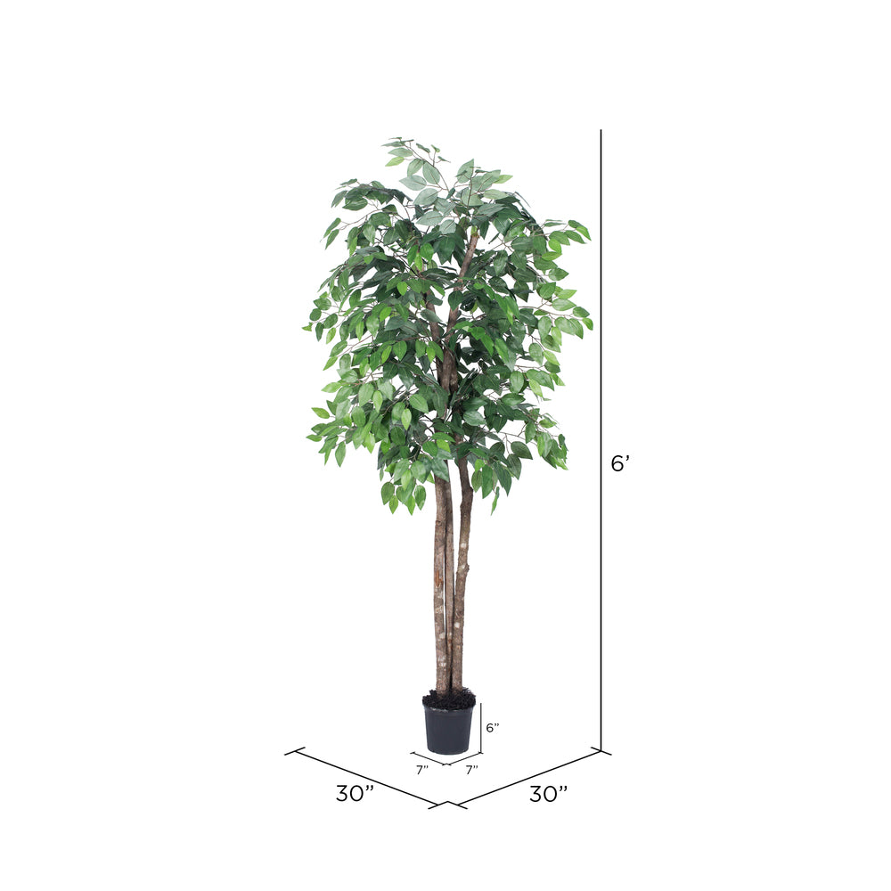 Vickerman 6' Artificial Ficus Deluxe Black Plastic Pot