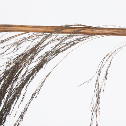 Vickerman 60-72" Mocha Uva Palm Spray standing between 60 to 72 inches tall. Pack of 10.