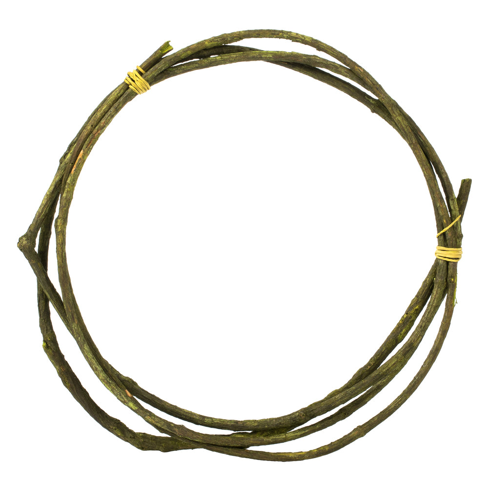 Vickerman 95-100" Basil Tranca Vine Coil 1 coil Dried