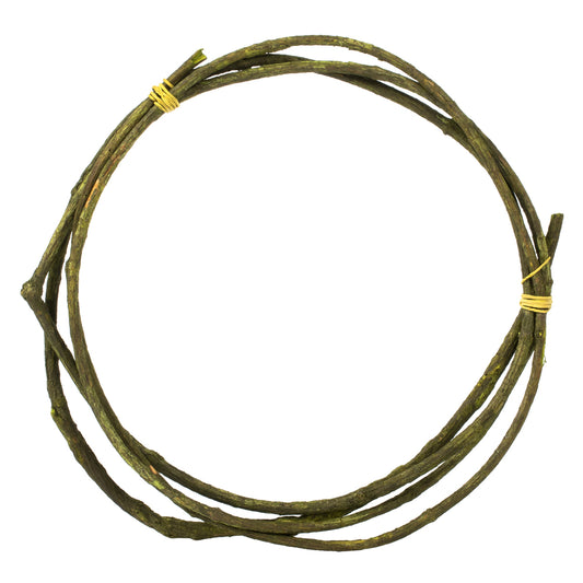 Vickerman 95-100" Basil Tranca Vine Coil 1 coil Dried