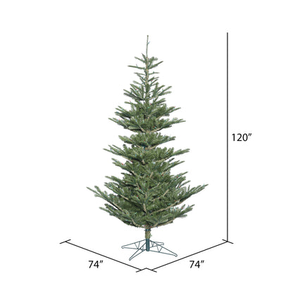 Vickerman 10' Alberta Spruce Artificial Christmas Tree Unlit