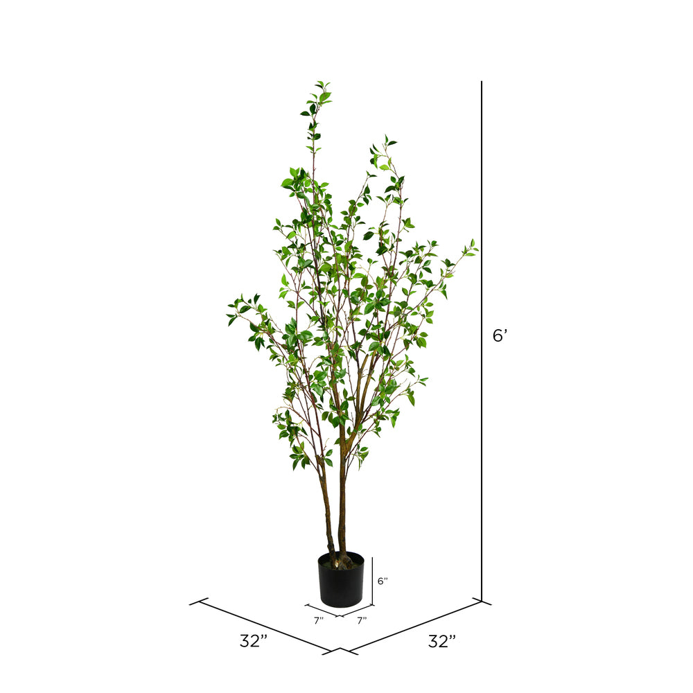 Vickerman 72" Artificial Potted Baby Leaf Tree in Black Planters Pot.