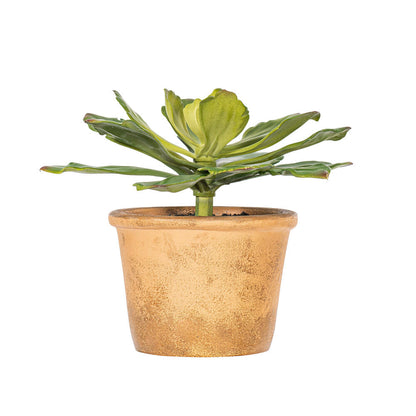 Vickerman 9" Artificial Succulent Paper Pot.
