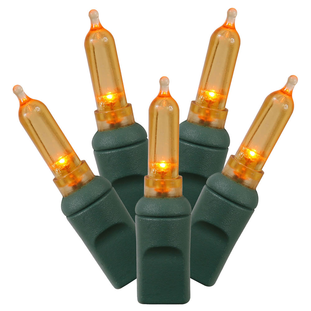 Vickerman 50 Orange Italian LED Light on Green Wire 25' Christmas Single Mold Light Strand