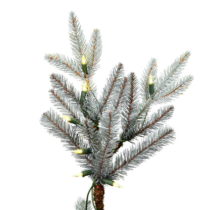 Vickerman 14' x 88" Douglas Blue Fir Artificial Christmas Tree Warm White Dura-lit LED Lights