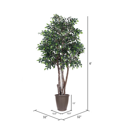 Vickerman 6' Artificial Mini Ficus Executive Tree Brown Round Plastic Container.