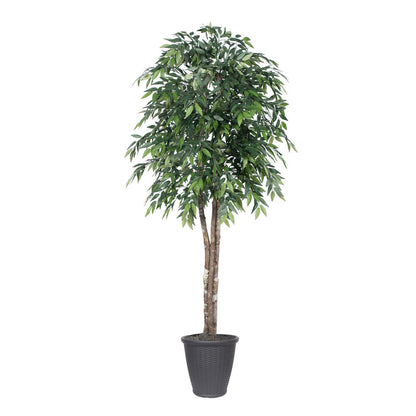 Vickerman 6' Artificial Green Smilax Deluxe Tree Gray Round Plastic Container.