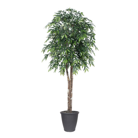 Vickerman 6' Artificial Green Smilax Deluxe Tree Gray Round Plastic Container.