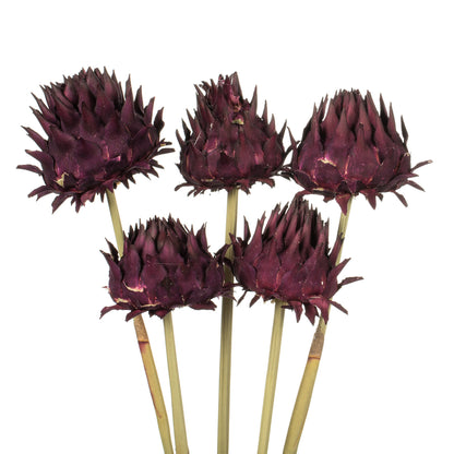 Vickerman 15" Violet Artichokes on Reed Stems 5 stems Dried