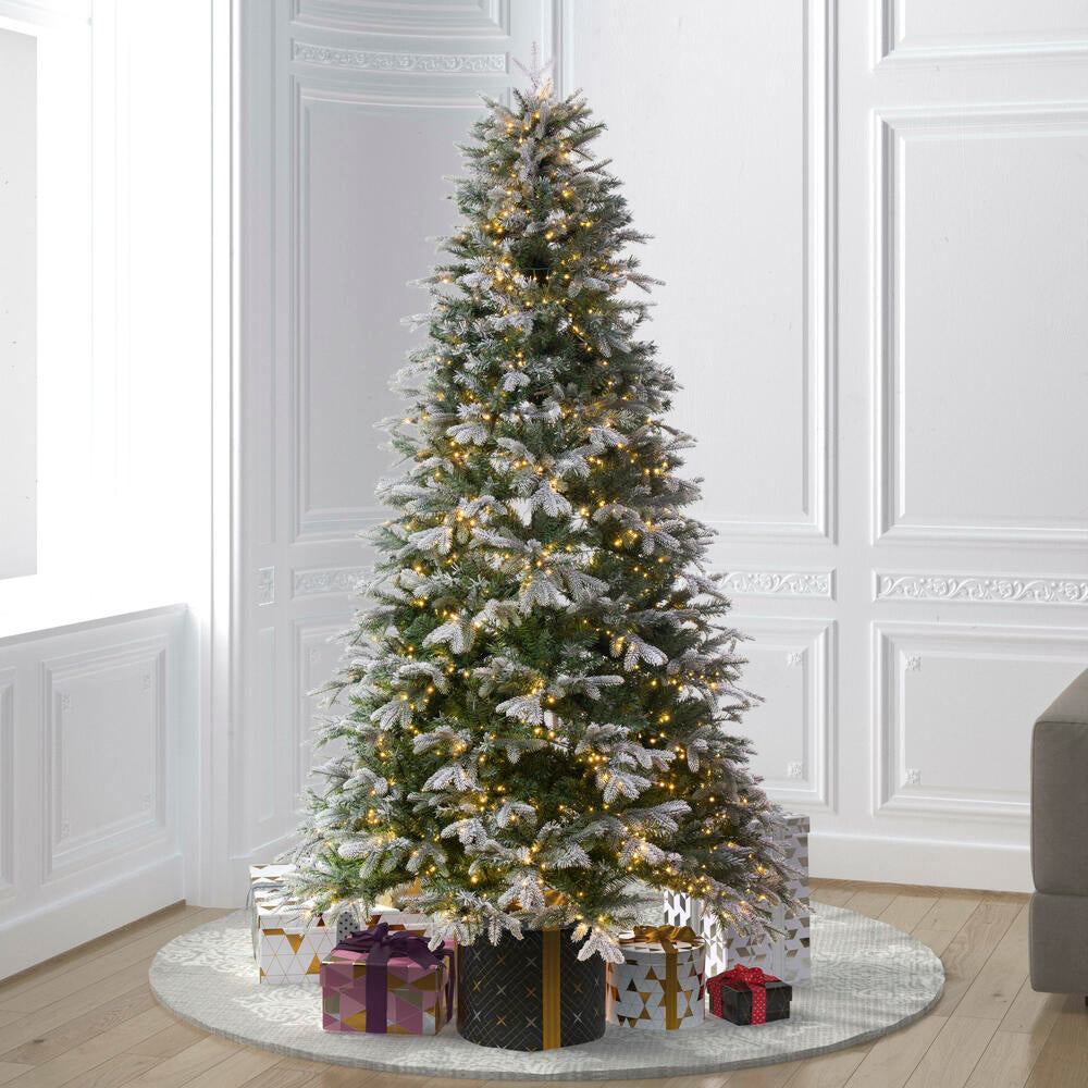 Vickerman 5.5' x 45" Frosted Douglas Fir Artificial Pre-Lit Christmas Tree Warm White 3mm LED Lights.