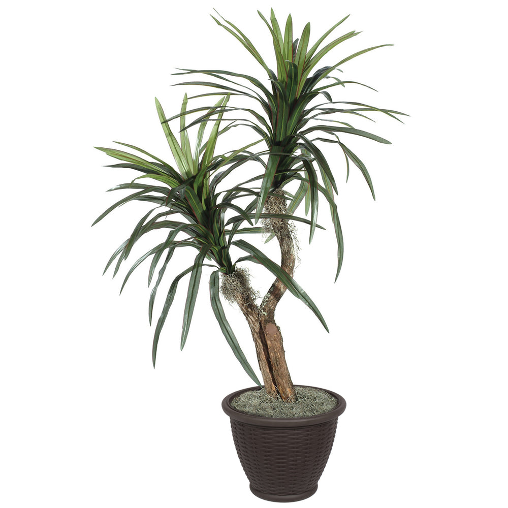 Vickerman 4' Artificial Marginata Bush Brown Plastic Container.