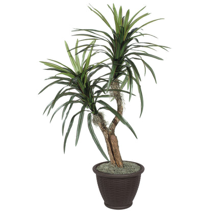 Vickerman 4' Artificial Marginata Bush Brown Plastic Container.