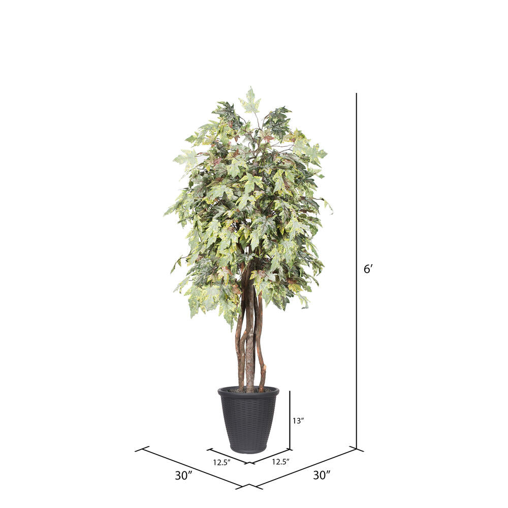 Vickerman 6' Artificial Frosted Maple Executive Tree Gray Round Plastic Container.