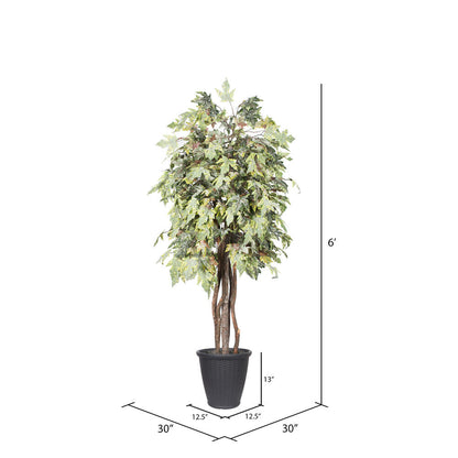 Vickerman 6' Artificial Frosted Maple Executive Tree Gray Round Plastic Container.