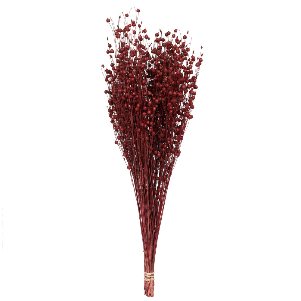 Vickerman Natural Botanicals 20-22" Red Dried Flax Linum 4 oz. Bunch.