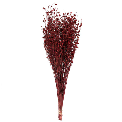 Vickerman Natural Botanicals 20-22" Red Dried Flax Linum 4 oz. Bunch.
