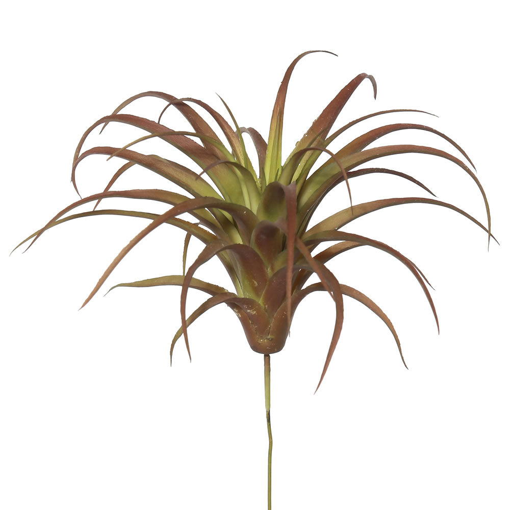 Vickerman 6.5" Artificial Green and Red Tillandsia Pick Set of 3