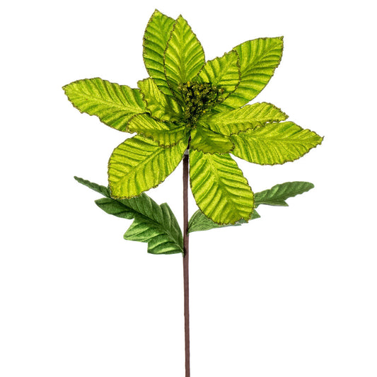 Vickerman 22" Lime Velvet Glitter Trim Poinsettia 6 per bag.
