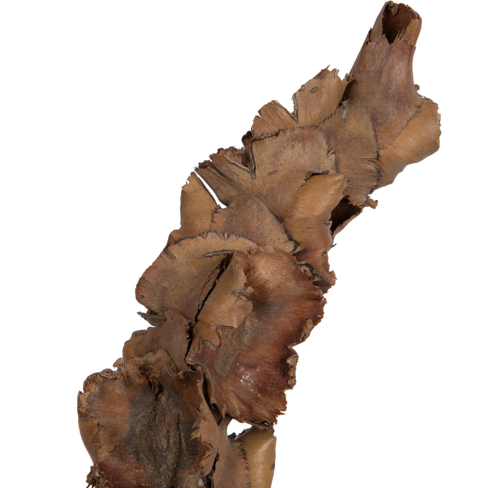 Vickerman Natural Botanicals 8"-10" Palm Female. Includes 10 pieces per Pack.