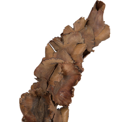 Vickerman Natural Botanicals 8"-10" Palm Female. Includes 10 pieces per Pack.