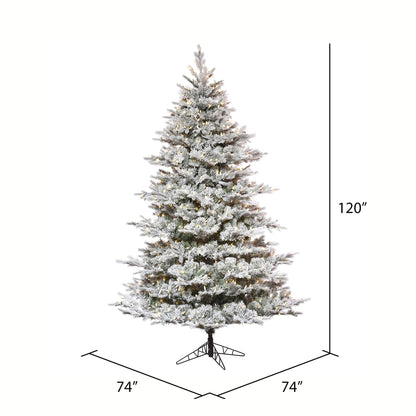 Vickerman 10' x 74"  Flocked Kiana Artificial Christmas Tree Dura-Lit® LED Warm White Mini Lights
