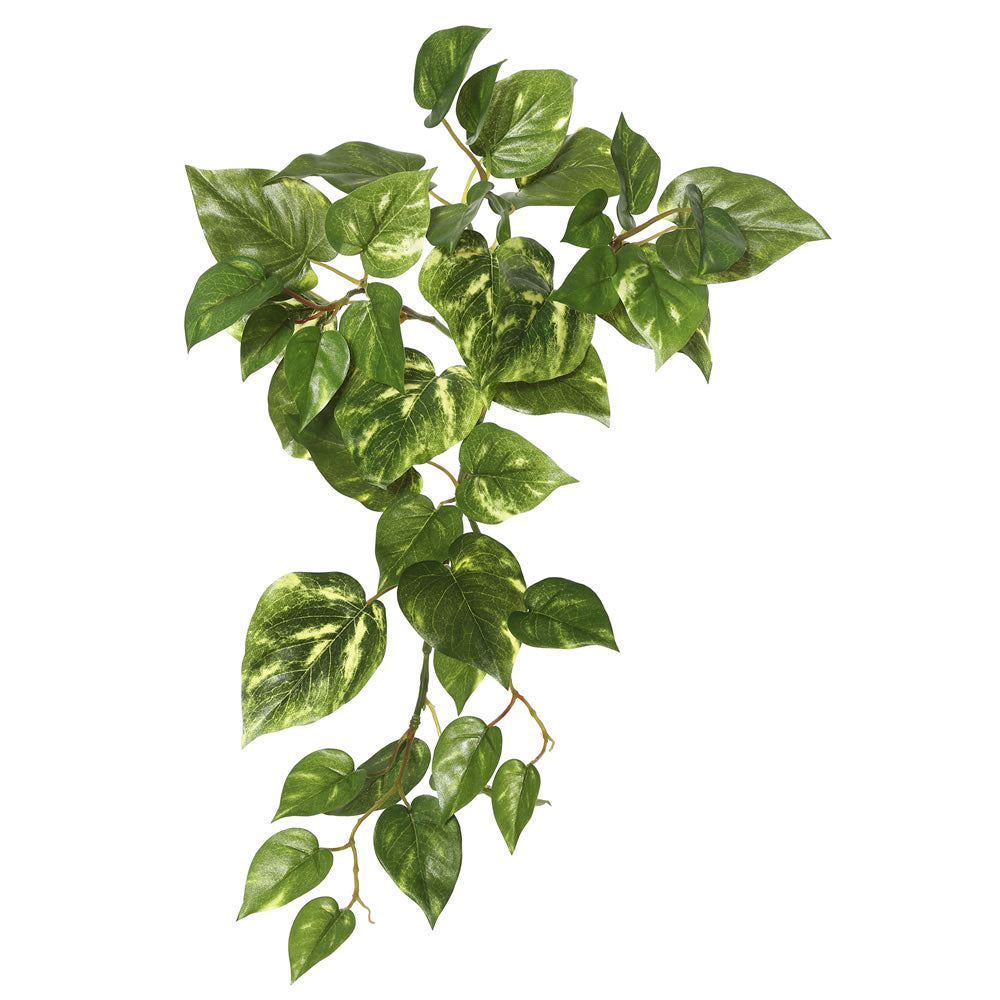 Vickerman 18" Artificial Green Pothos Hanging Bush 3/pk