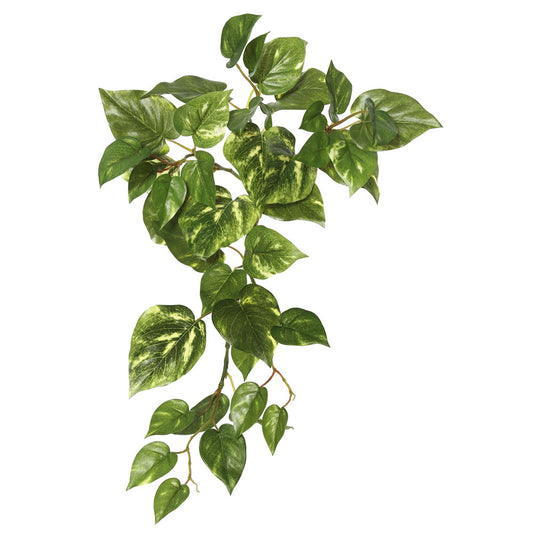 Vickerman 18" Artificial Green Pothos Hanging Bush 3/pk