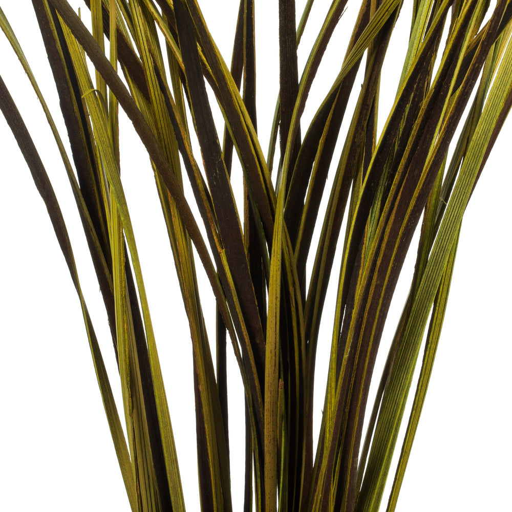 Vickerman 28"  Basil Splinter Grass 11 oz Bundle Dried