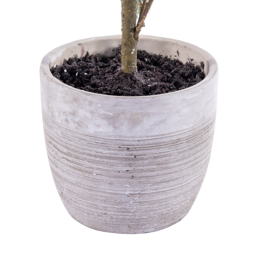 Vickerman 37" Artificial Blue Spruce Sapling Potted.