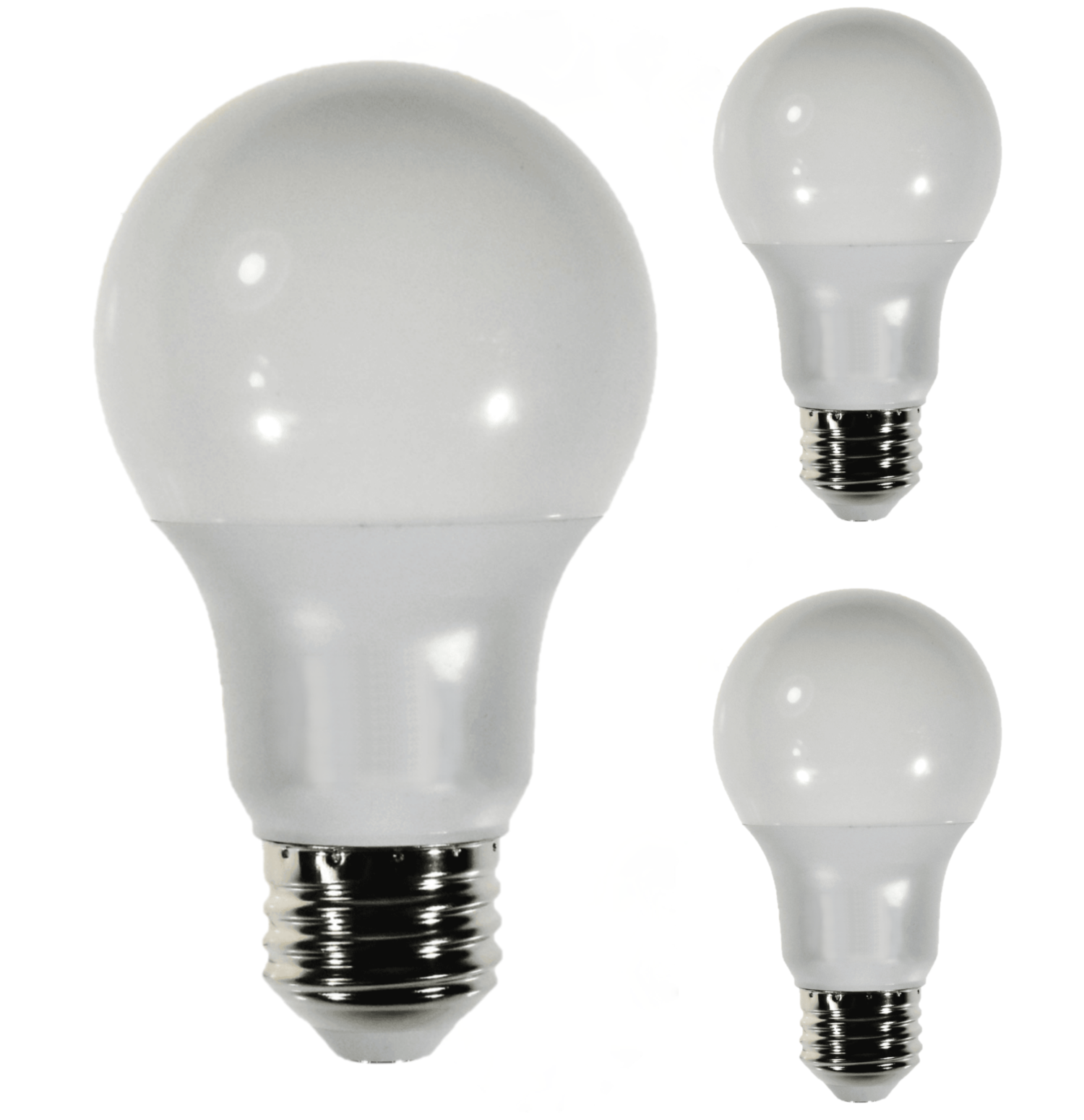 Damar A19 LED Light Bulb
