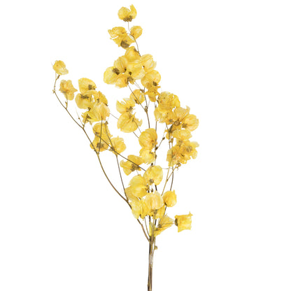 Vickerman 13.5-17" Yellow Dried Cara Blossom Bundle Preserved.