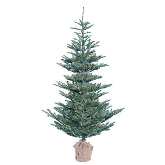 Vickerman 5' Alberta Blue Spruce Artificial Christmas Tree Unlit