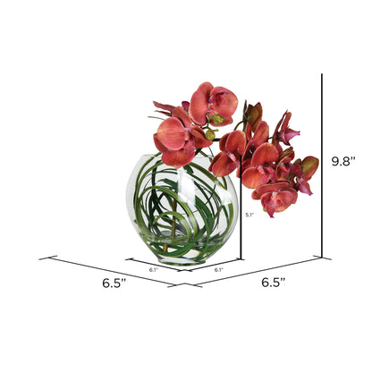 Vickerman 9.8" Artificial Red/Purple Butterfly Orchid In Glass Pot.