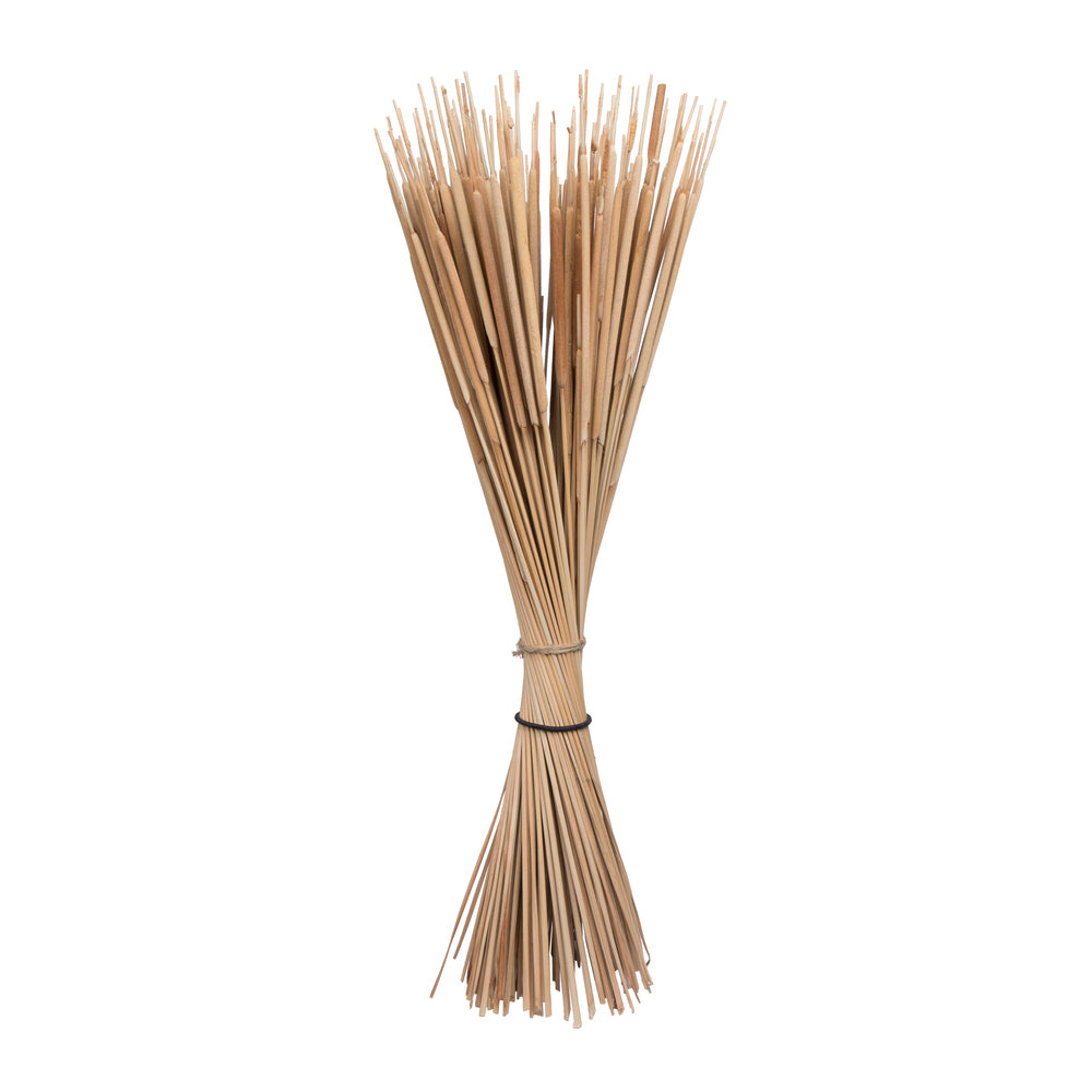 Vickerman Natural Botanicals 24" Reed Spadix Pencil. Includes 150 pieces per Pack.