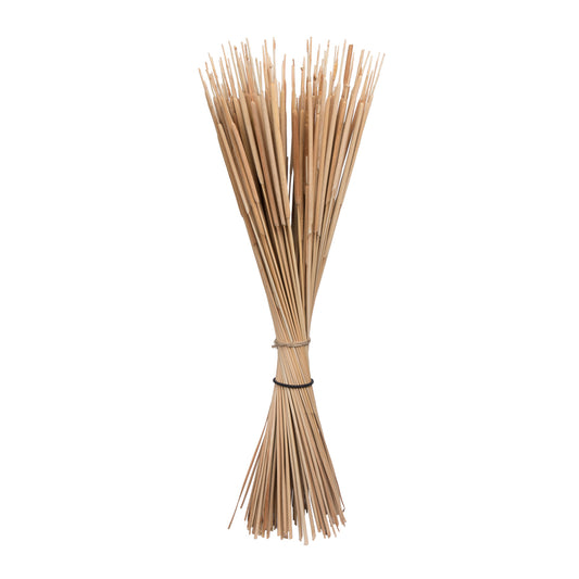 Vickerman Natural Botanicals 24" Reed Spadix Pencil. Includes 150 pieces per Pack.