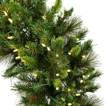 Vickerman 9' x 18" Bangor Mixed Pine Artificial Christmas Garland Warm White LED Lights