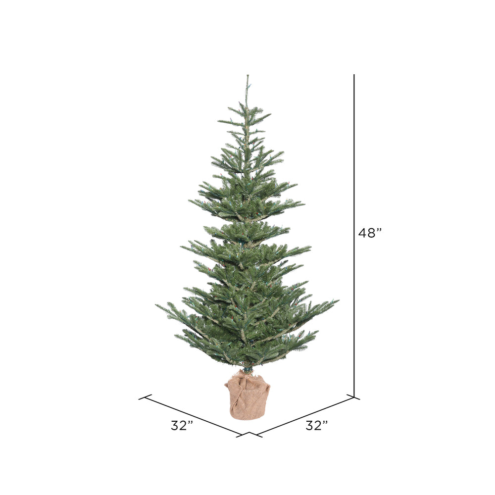 Vickerman 4' Alberta Spruce Artificial Christmas Tree Unlit