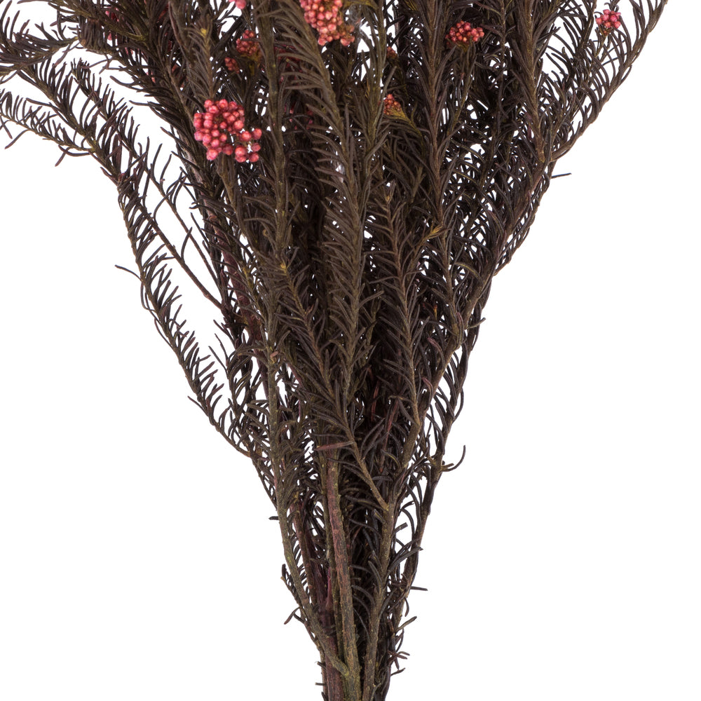 Vickerman 16-23" Pink Rice Flower. Comes in a 4.25 oz Bundle. Preserved