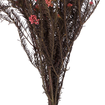 Vickerman 16-23" Pink Rice Flower. Comes in a 4.25 oz Bundle. Preserved