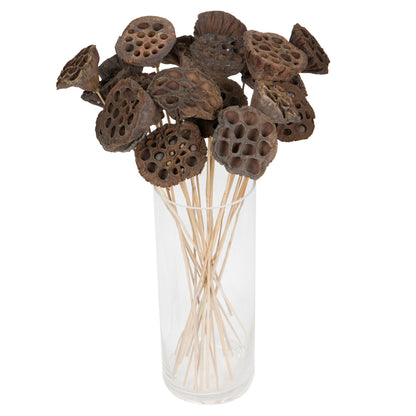 Vickerman Natural Botanicals 20" Lotus Pod Medium on Stem. Includes 50 pieces per Pack.