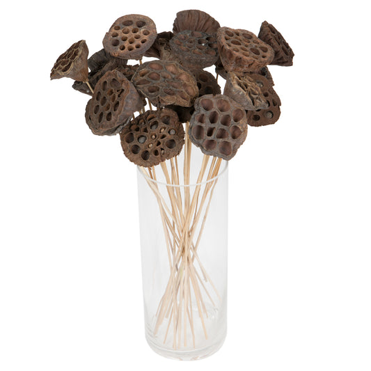 Vickerman Natural Botanicals 20" Lotus Pod Medium on Stem. Includes 50 pieces per Pack.